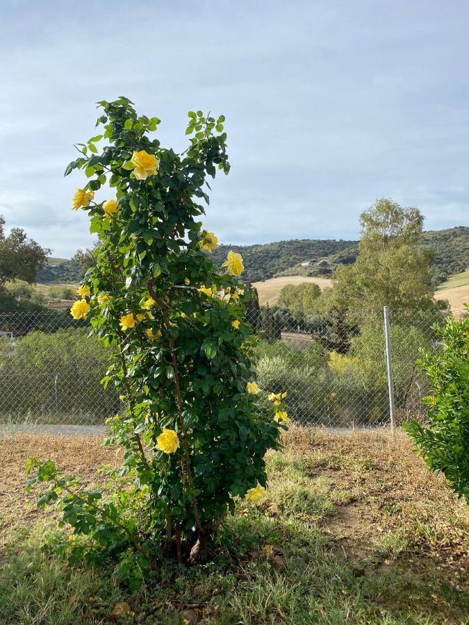 Villa Casa Rosa, El Torcal Almogia Luaran gambar